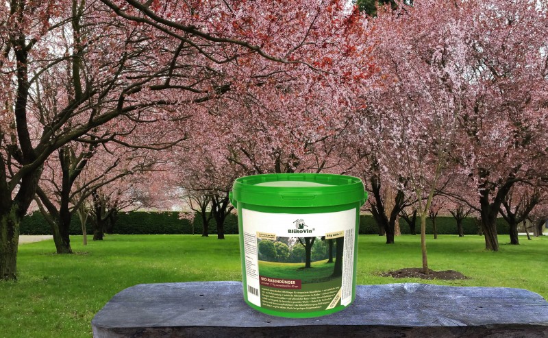 weinrebe im kübel düngen Green Home Weinreben Bundle main image 1